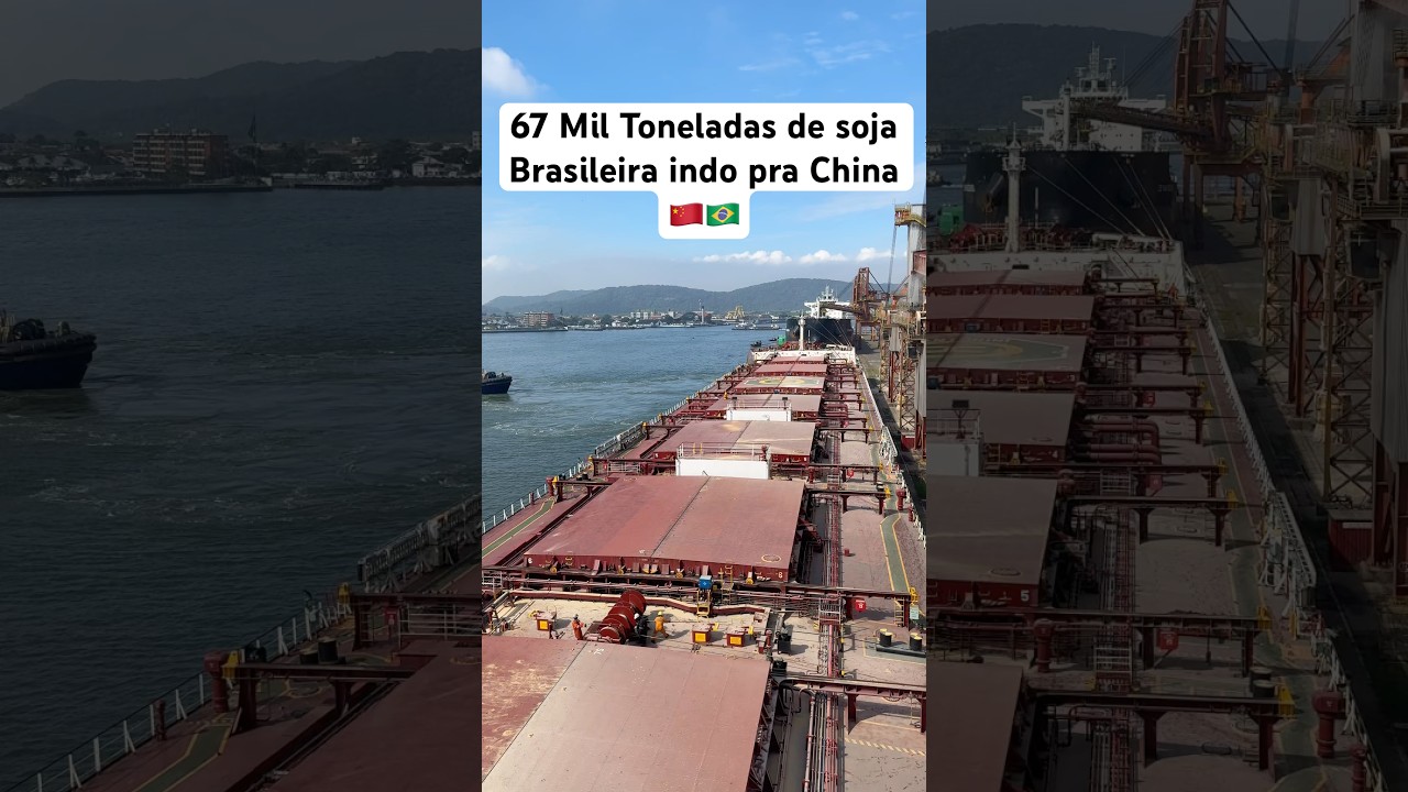 Cargo ship loading soybeans
