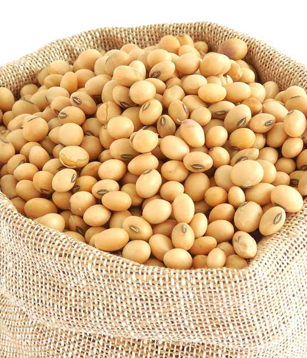 Non-GMO Soybeans