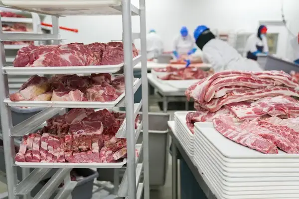 Frozen Chicken MDM (Mechanically Deboned Meat) from Brazil - Premium export quality by Marythur Food Exports