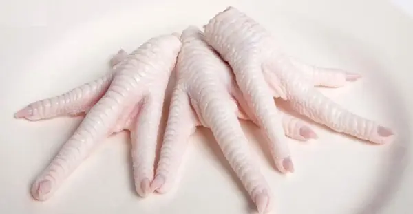 Grade A frozen chicken paws — clean yellow color, export quality