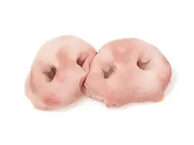 Pork Snouts